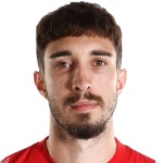 Š. Vrsaljko