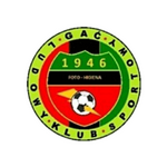 club logo