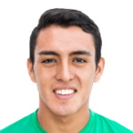 K. F. Salvatierra Flores